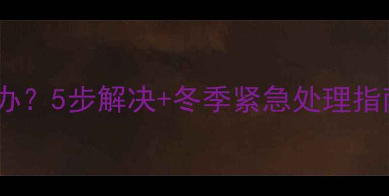 壁挂炉没气了怎么办5步解决冬季紧急处理指南附自检手册