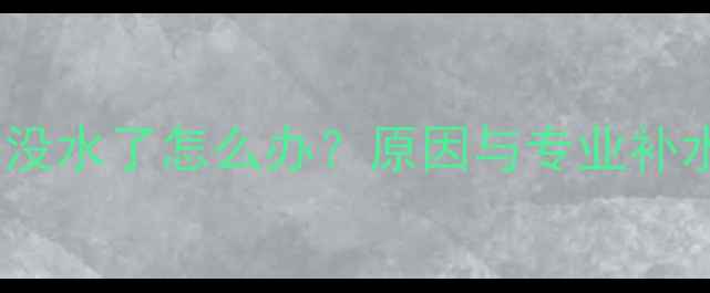 图片 壁挂炉没水了怎么办？原因与专业补水指南1