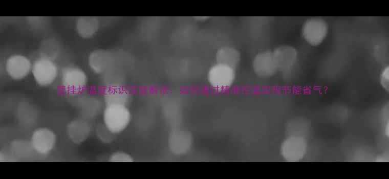 图片 壁挂炉温度标识深度解读：如何通过精准控温实现节能省气？