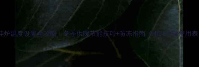 壁挂炉温度设置全攻略冬季供暖节能技巧防冻指南附24小时使用表