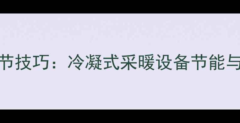 壁挂炉温度调节技巧冷凝式采暖设备节能与舒适平衡指南