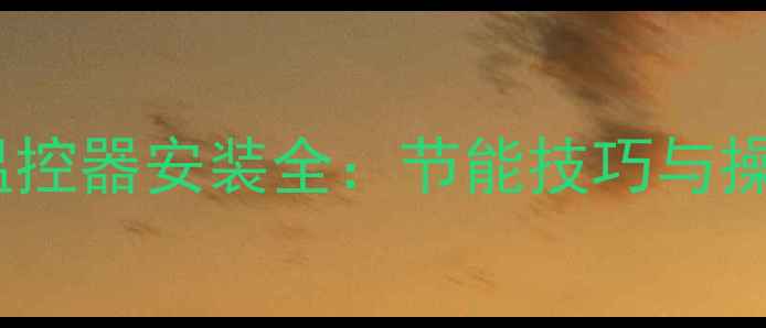 图片 壁挂炉温控器安装全：节能技巧与操作指南1