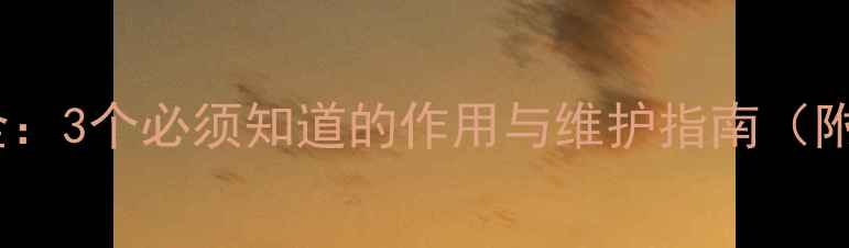 壁挂炉滤网全3个必须知道的作用与维护指南附选购技巧