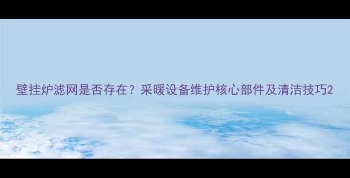 图片 壁挂炉滤网是否存在？采暖设备维护核心部件及清洁技巧2