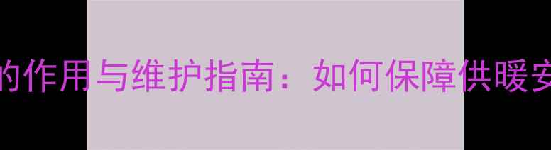 图片 壁挂炉烟筒的作用与维护指南：如何保障供暖安全与能效？