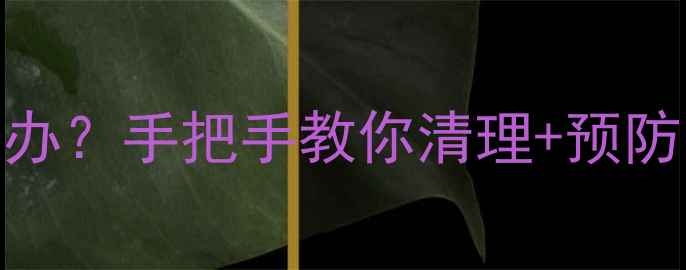 图片 壁挂炉烟道堵塞怎么办？手把手教你清理+预防（附常见问题解答）