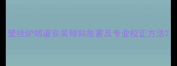 图片 壁挂炉烟道安装倾斜危害及专业校正方法2
