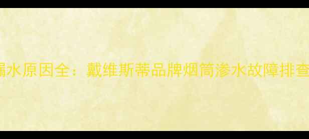 壁挂炉烟道漏水原因全戴维斯蒂品牌烟筒渗水故障排查与维修指南