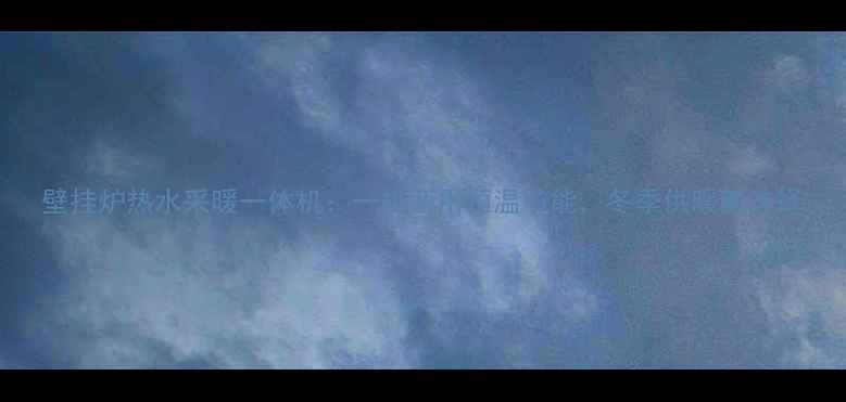 图片 壁挂炉热水采暖一体机：一机两用恒温节能，冬季供暖新选择