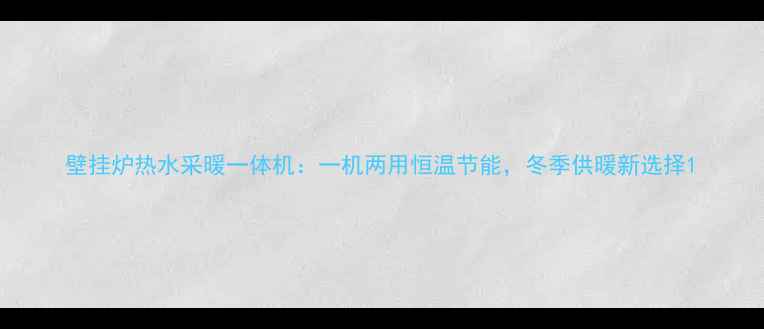 壁挂炉热水采暖一体机一机两用恒温节能冬季供暖新选择