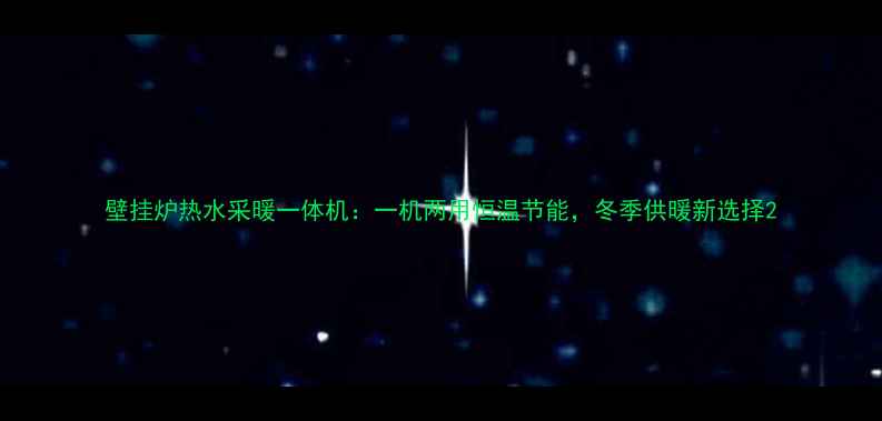 图片 壁挂炉热水采暖一体机：一机两用恒温节能，冬季供暖新选择2