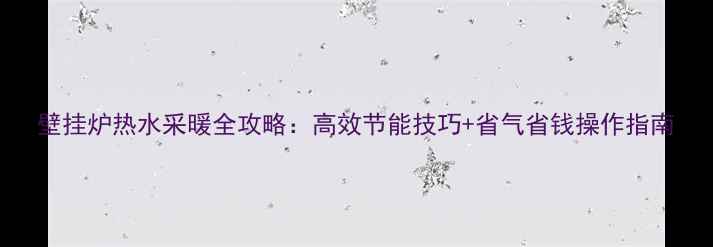 图片 壁挂炉热水采暖全攻略：高效节能技巧+省气省钱操作指南