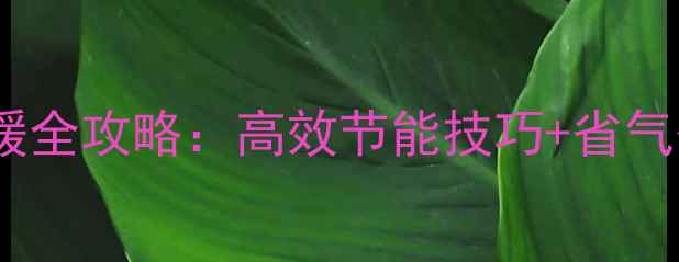 图片 壁挂炉热水采暖全攻略：高效节能技巧+省气省钱操作指南1
