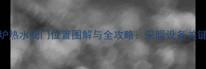 壁挂炉热水阀门位置图解与全攻略采暖设备关键部件