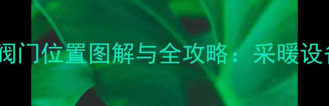 图片 壁挂炉热水阀门位置图解与全攻略：采暖设备关键部件2