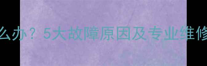 图片 壁挂炉燃气表异响怎么办？5大故障原因及专业维修指南（附操作视频）