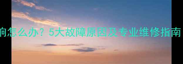 图片 壁挂炉燃气表异响怎么办？5大故障原因及专业维修指南（附操作视频）1