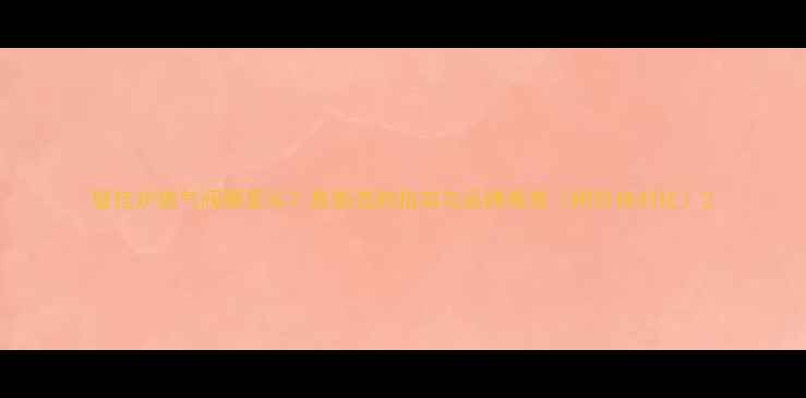 壁挂炉燃气阀哪里买最新选购指南与品牌推荐附价格对比