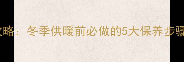图片 壁挂炉燃烧室清洗全攻略：冬季供暖前必做的5大保养步骤，费用及注意事项全1