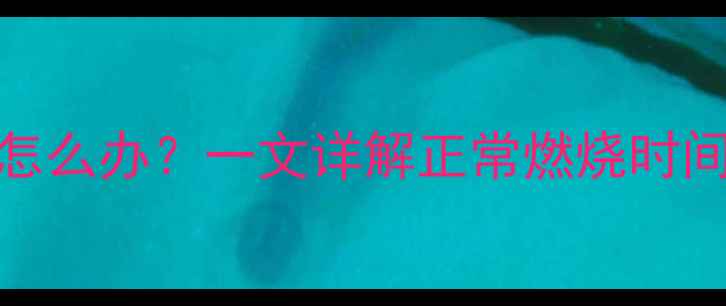 图片 壁挂炉燃烧时间过长怎么办？一文详解正常燃烧时间标准及故障排查指南