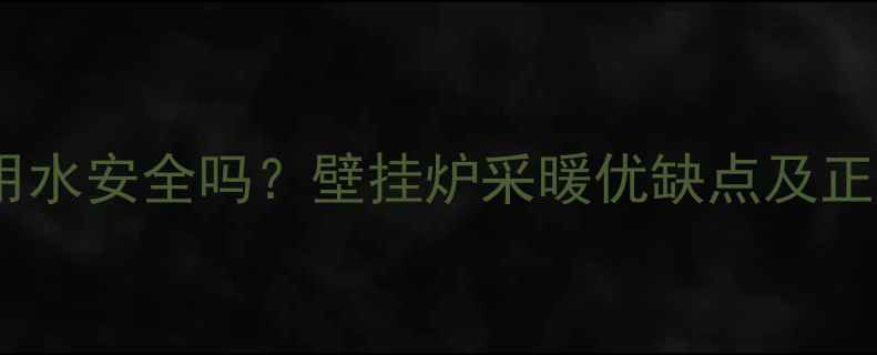 图片 壁挂炉生活用水安全吗？壁挂炉采暖优缺点及正确使用指南2