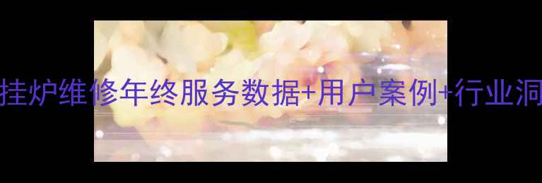 图片 壁挂炉维修年终服务数据+用户案例+行业洞察