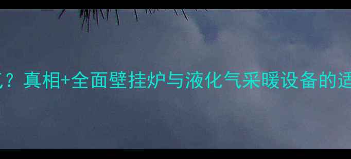 图片 壁挂炉能否使用液化气？真相+全面壁挂炉与液化气采暖设备的适配性及使用注意事项1