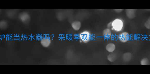 图片 壁挂炉能当热水器吗？采暖季双能一体的热能解决方案2