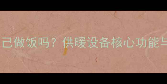 图片 壁挂炉能自己做饭吗？供暖设备核心功能与生活误区1