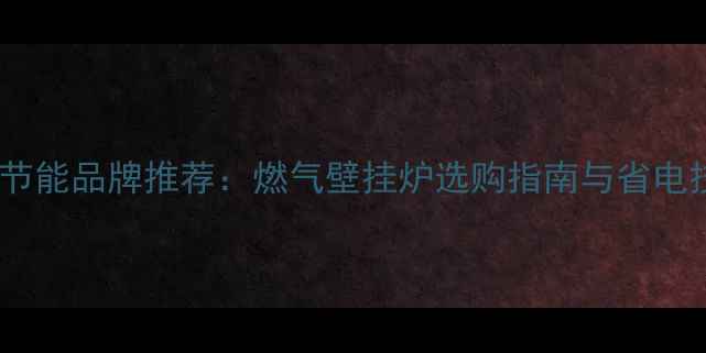 壁挂炉节能品牌推荐燃气壁挂炉选购指南与省电技巧全