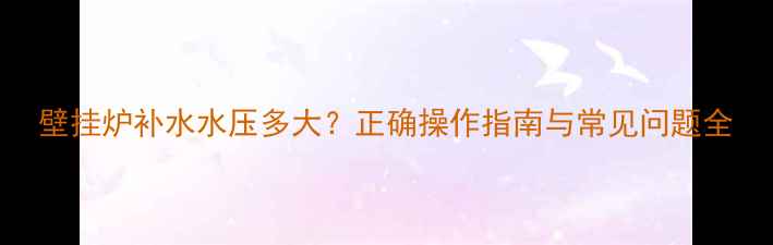 壁挂炉补水水压多大正确操作指南与常见问题全