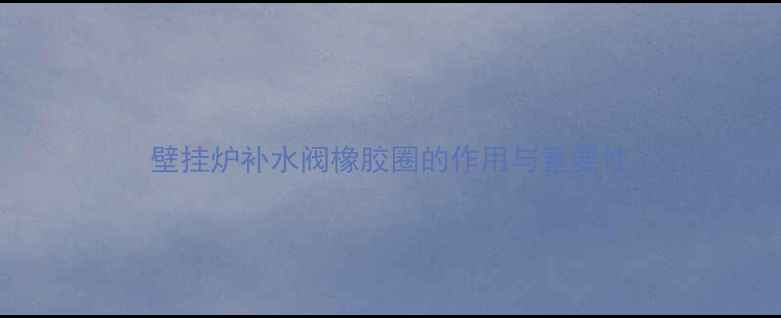 图片 壁挂炉补水阀橡胶圈的作用与重要性