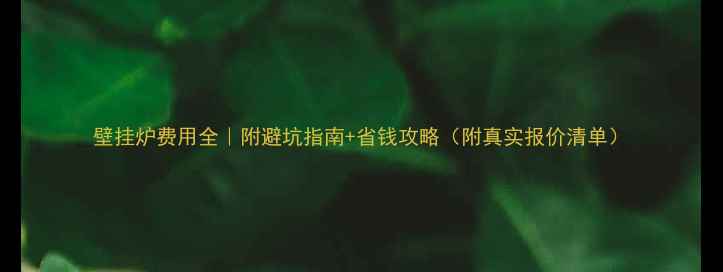 图片 壁挂炉费用全｜附避坑指南+省钱攻略（附真实报价清单）