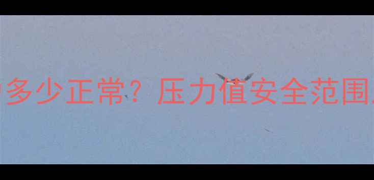 图片 壁挂炉运行压力多少正常？压力值安全范围及故障排查指南