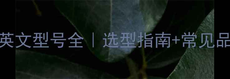 图片 壁挂炉进水泵英文型号全｜选型指南+常见品牌参数对照表