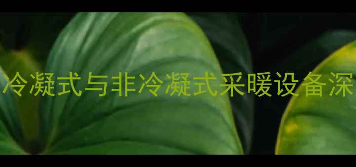 壁挂炉选型指南冷凝式与非冷凝式采暖设备深度对比与选购建议