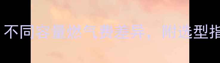 图片 壁挂炉选多大合适？不同容量燃气费差异，附选型指南（附实测数据）1