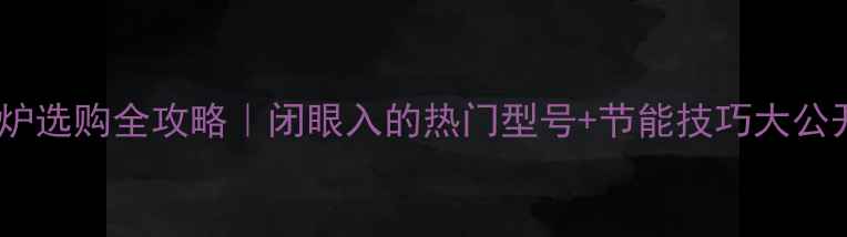 壁挂炉选购全攻略闭眼入的热门型号节能技巧大公开