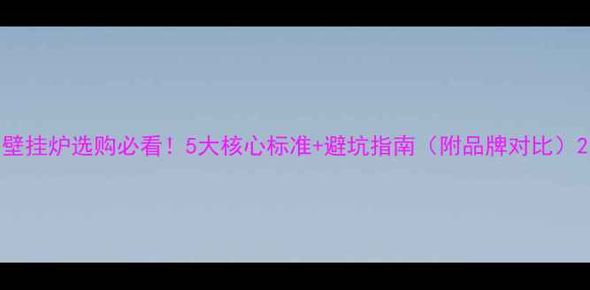 壁挂炉选购必看5大核心标准避坑指南附品牌对比