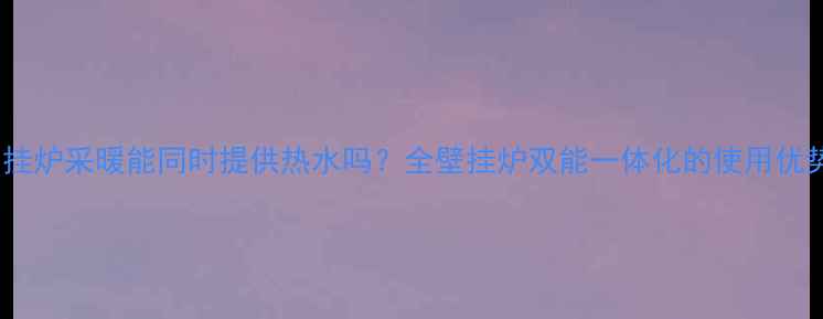 图片 壁挂炉采暖能同时提供热水吗？全壁挂炉双能一体化的使用优势1
