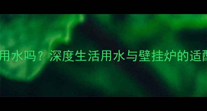 图片 壁挂炉采暖能用生活用水吗？深度生活用水与壁挂炉的适配性及安全使用指南2