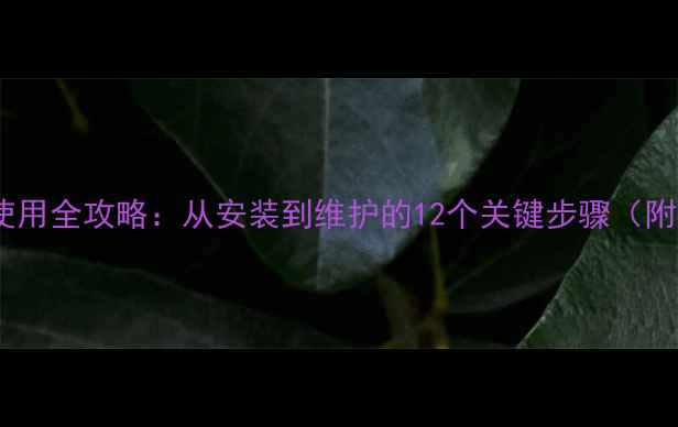 壁挂炉采暖设备使用全攻略从安装到维护的12个关键步骤附故障排除指南