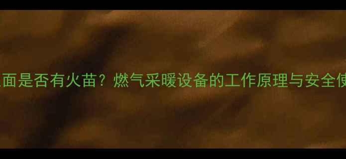 图片 壁挂炉里面是否有火苗？燃气采暖设备的工作原理与安全使用指南1