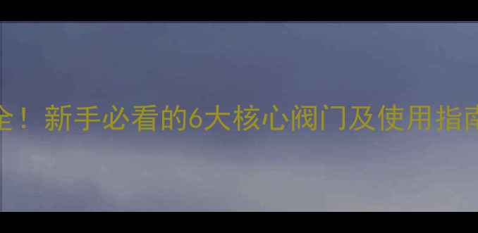 壁挂炉阀门全新手必看的6大核心阀门及使用指南附图解