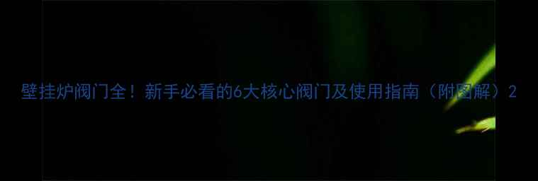 图片 壁挂炉阀门全！新手必看的6大核心阀门及使用指南（附图解）2