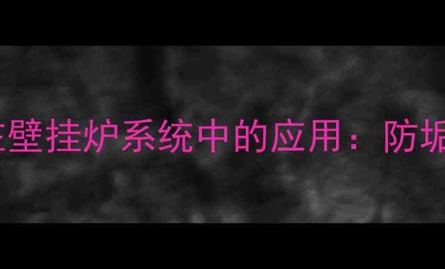 图片 多组分水器在壁挂炉系统中的应用：防垢节能全攻略1