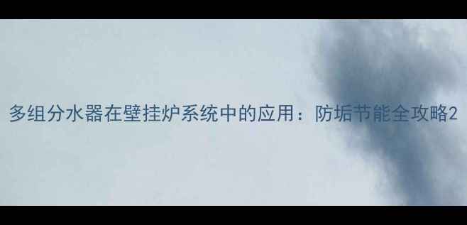 图片 多组分水器在壁挂炉系统中的应用：防垢节能全攻略2