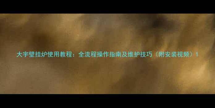 大宇壁挂炉使用教程全流程操作指南及维护技巧附安装视频