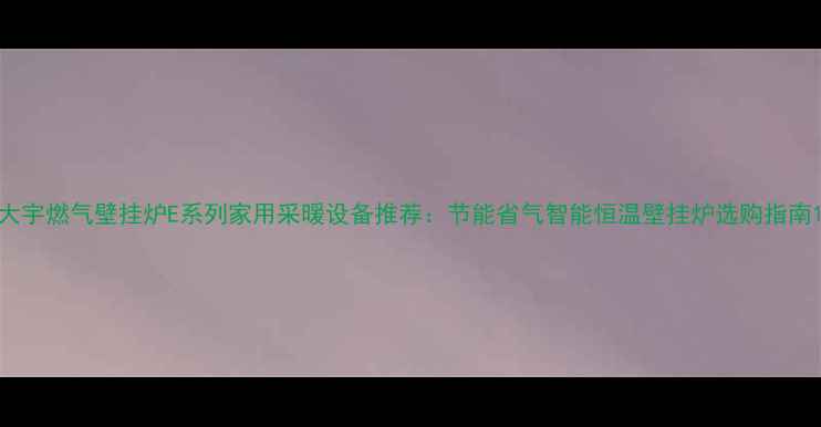 图片 大宇燃气壁挂炉E系列家用采暖设备推荐：节能省气智能恒温壁挂炉选购指南1