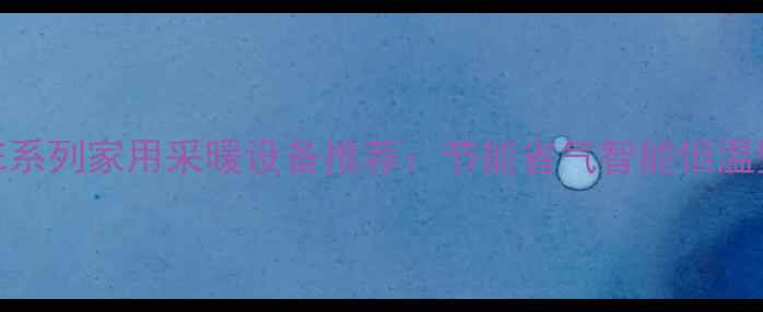 大宇燃气壁挂炉E系列家用采暖设备推荐节能省气智能恒温壁挂炉选购指南